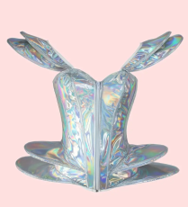 Silver Corset
